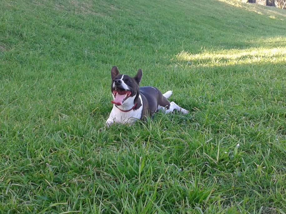 Once we see the Oneness we share, no matter how different we may seem to the eye, are we ready to surrender to a Higher Consciousness, to a Higher Love, a life of devotion towards Self, others and the Good and Preservation of all living beings that shares our world.